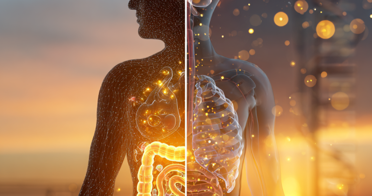 Melatonin and its Role in Gut Health and Digestion: How the Bidirectional Gut-Sleep Axis Controls Your Circadian Rhythms (And Vice Versa)