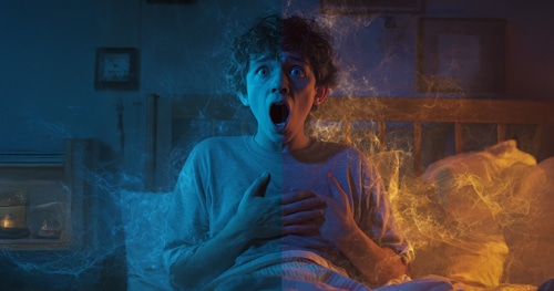 Night Terrors or Nocturnal Panic Attacks?